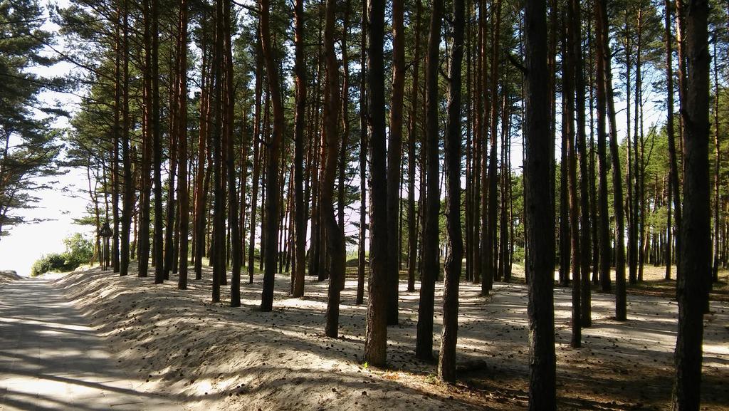 Jauki Vieta Poilsiui Kunigiskese Palanga Exterior foto